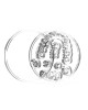 PMMA Transparent PMMA Transparent