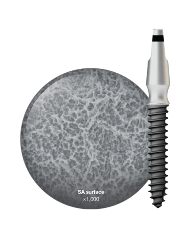 MS Denture & Narrow Ridge MS Denture & Narrow Ridge