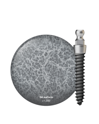 MS Denture & Narrow Ridge MS Denture & Narrow Ridge